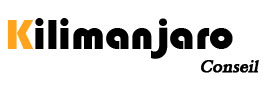 Kilimanjaro Conseil