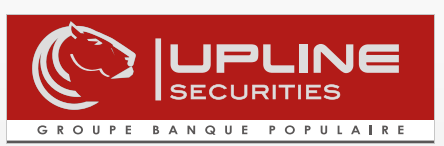 Upline Group