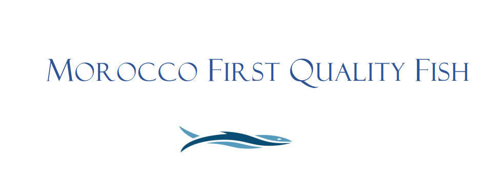 Morocco First Quality Fish 