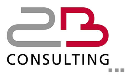 2B Consulting