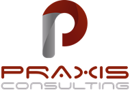 Praxis Consulting