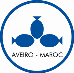 Nouvelle Aveiro Maroc