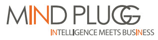 Mindplugg