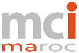 Micro Conseil International