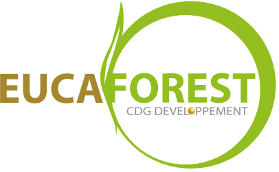 CDG  Developpement